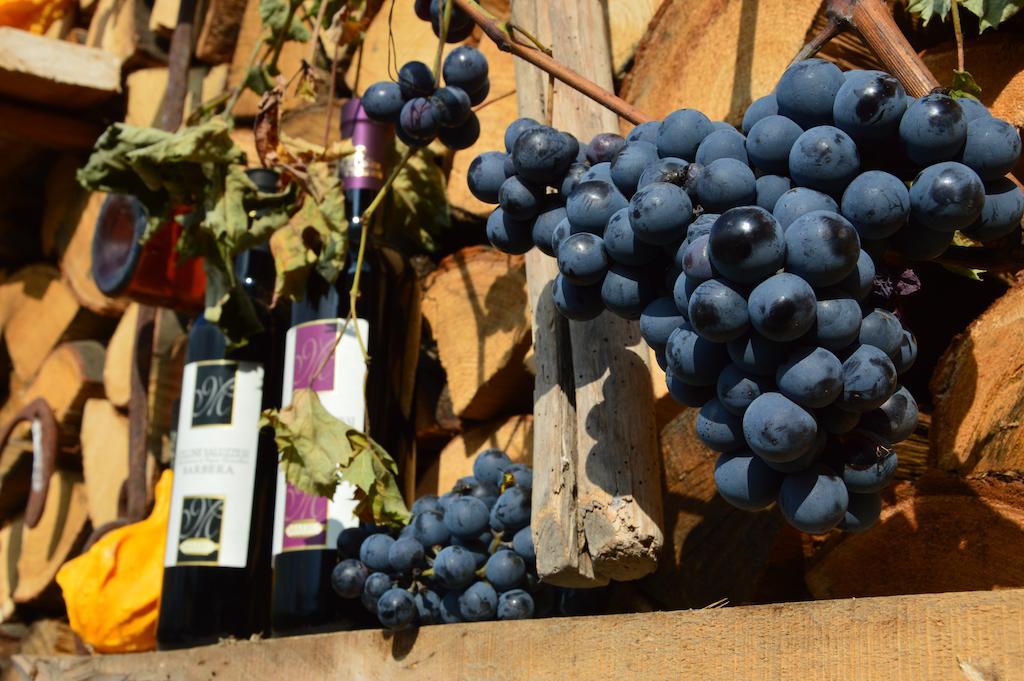 Agriturismo Il Nido Di Bacco Βίλα Saluzzo Εξωτερικό φωτογραφία